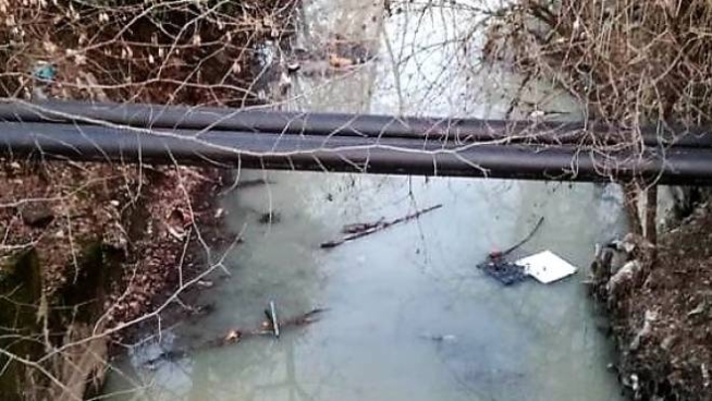 La melma nel fontanile Visconti