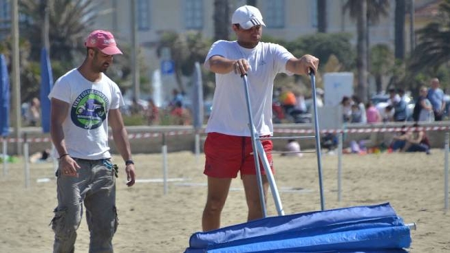 Download Per L Affitto Della Spiaggia Lo Stato Chiede Ai Bagni Versiliesi For iPhone Free Wallpaper Per L Affitto Della Spiaggia Lo Stato Chiede Ai Bagni Versiliesi HD