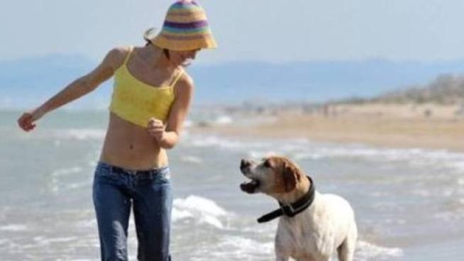 Ravenna Un Nuovo Tratto Di Spiaggia Aperto Ai Cani