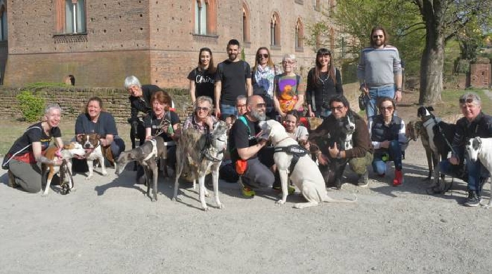 Pavia Passeggiata Con Il Gaci Adottate Levrieri E Galgos Cronaca Ilgiorno It