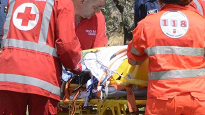 Image result for nertil bushi