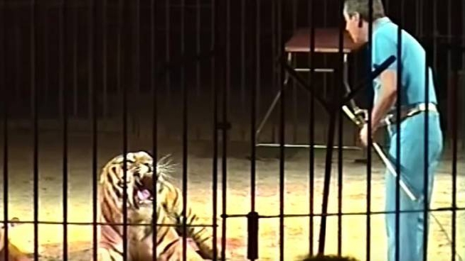 Ettore Weber durante uno spettacolo in un fermo immagine di un video di YouTube (Ansa)