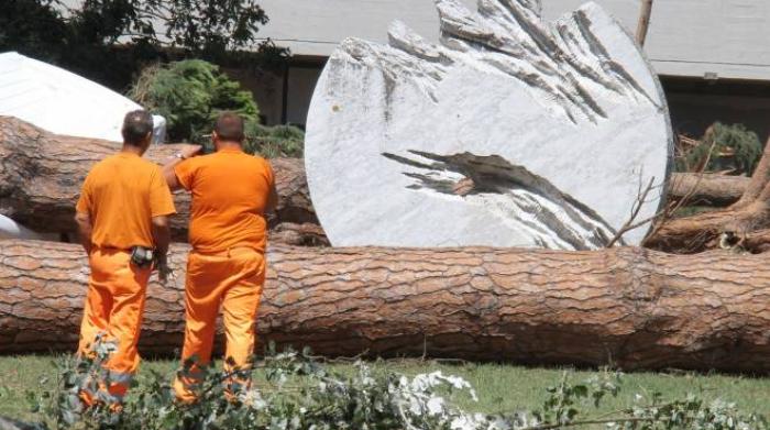 A Quattro Anni Dall Uragano L Anconella Rinasce Con Percorso