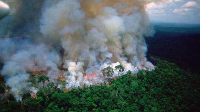 Risultati immagini per Amazzonia in fiamme immagini