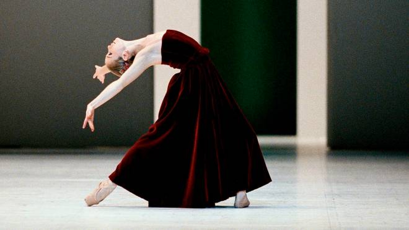 Danza Stagione A Bologna Una Parata Di Etoiles Cosa Fare Ilrestodelcarlino It