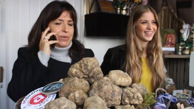Tartufo Prezzo E Dove Andare A Mangiarlo Cronaca