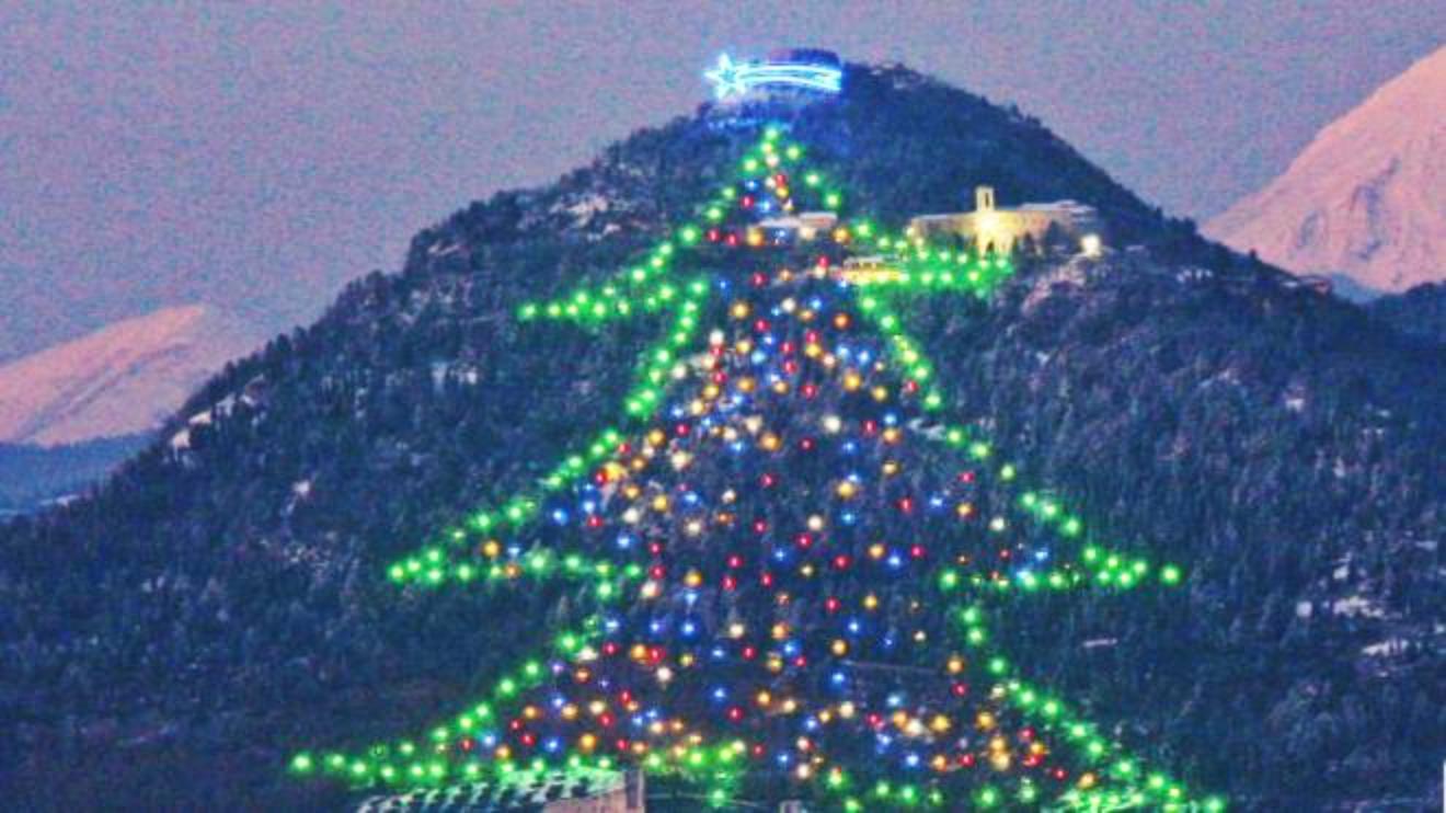 L Albero Sara Acceso Dalla Grotta Di Betlemme Cronaca Lanazione It
