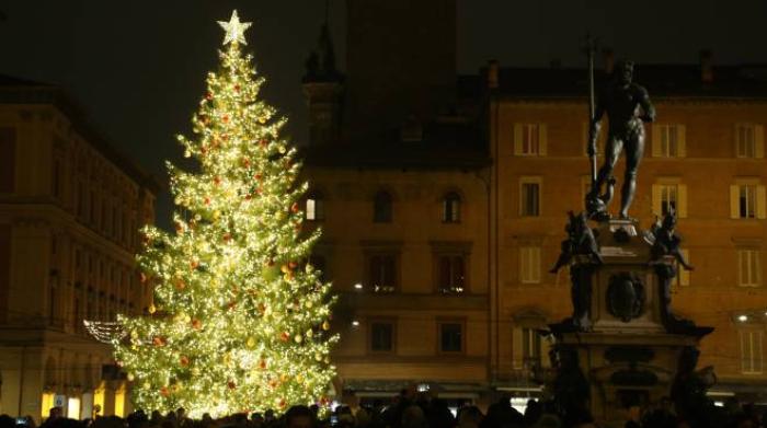 Natale 2019 Bologna Ecco L Albero Illuminato In Piazza Del Nettuno Cronaca Ilrestodelcarlino It