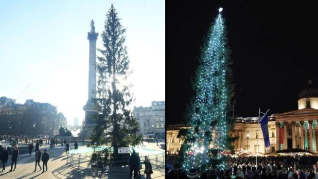 Natale 2019 Anche Londra Ha Il Suo Spelacchio Critiche All Albero In Trafalgar Square Esteri