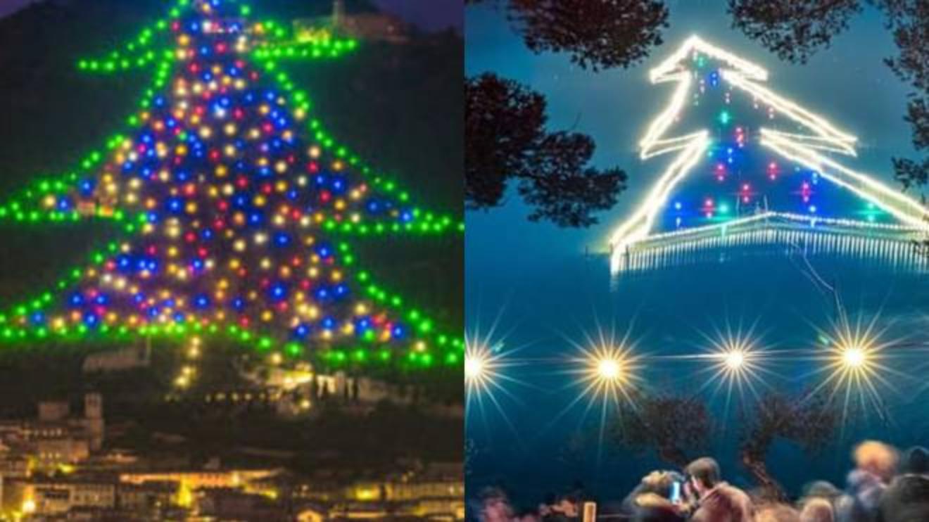 Alberi Di Natale Da Record Sul Web La Sfida Tra Trasimeno E Gubbio Cronaca Lanazione It