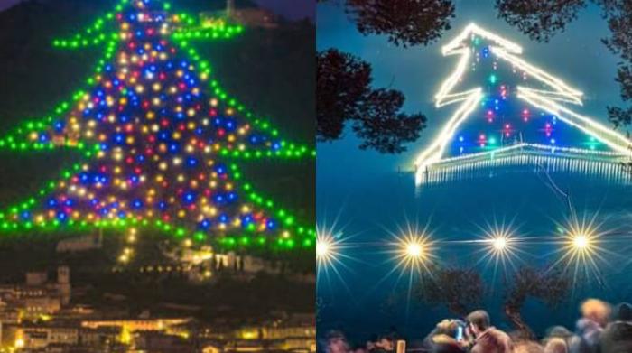 Alberi Di Natale Da Record Sul Web La Sfida Tra Trasimeno E Gubbio Cronaca Lanazione It