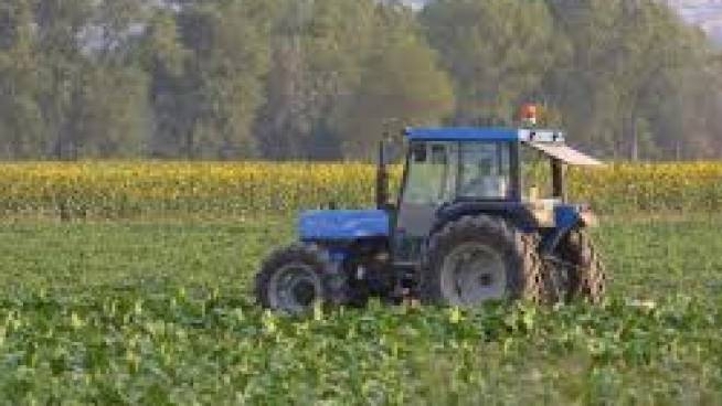 A San Piero A Grado Si Studia La Nuova Agricoltura Che Sfida I Cambiamenti Climatici Cultura