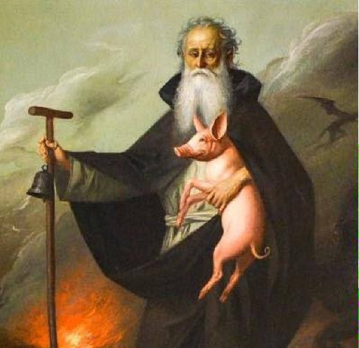 Sant Antonio Abate Ecco 10 Cose Da Sapere Sulla Festa Del 17 Gennaio Cronaca Ilgiorno It