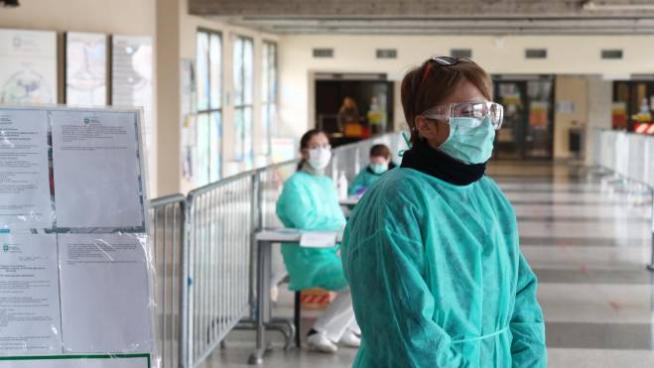 Mother And Baby Animals Pictures With Names