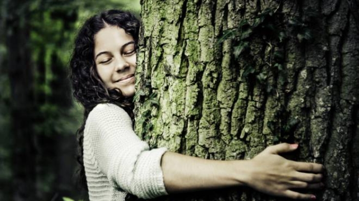 In Islanda abbracciano gli alberi contro la solitudine da Coronavirus - Magazine - quotidiano.net