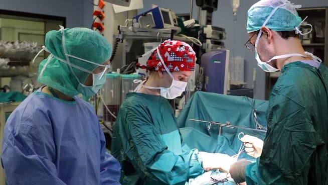 Espianto Multiplo Di Organi All Ospedale Di Campostaggia Cronaca Lanazione It