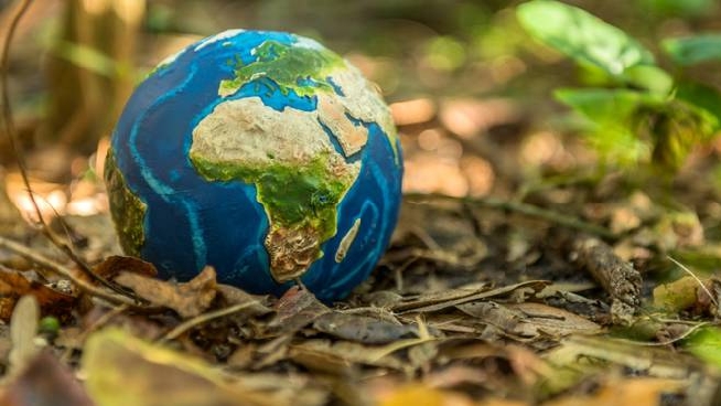 Giornata della Terra 2020, qual è la storia dell'Earth Day - Magazine - quotidiano.net