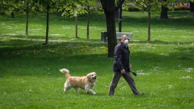 Fase 2: possibile anche la riapertura dei parchi (Ansa) Fase 2: possibile anche la riapertura dei parchi (Ansa)