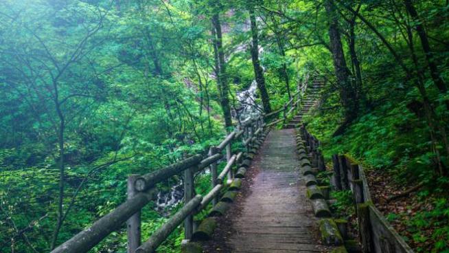 Passeggiate In Montagna In Solitaria 5 Percorsi Da Fare In Trentino Magazine Quotidiano Net