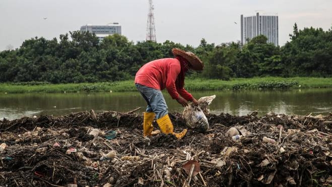 Giornata Mondiale Dell Ambiente Mattarella Nostra Sopravvivenza Legata Alla Natura Cronaca