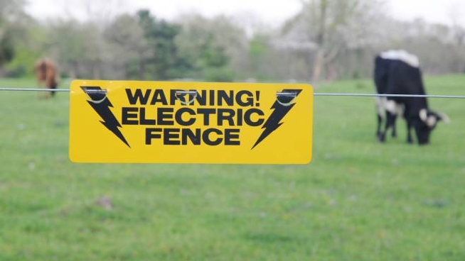 Covid Pub Inglese Mette Filo Elettrico Per Far Rispettare Il Distanziamento Magazine