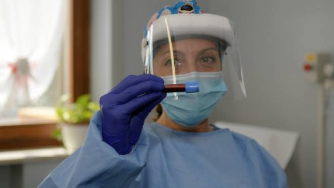 Coronavirus Grosseto E Provincia Quattro Nuovi Casi Ragazzo Di 32 Anni Ricoverato Cronaca
