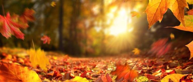 Equinozio D Autunno Cosa C E Da Sapere Miti E Leggende Magazine Quotidiano Net