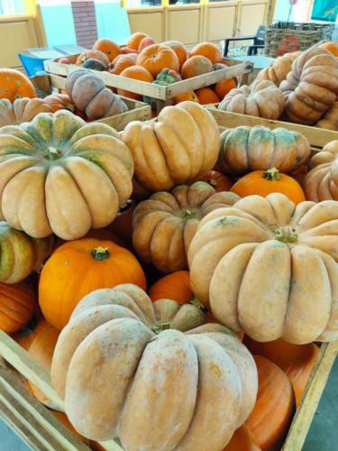 Week-end del 2, 3 e 4 ottobre: cosa fare in Lombardia