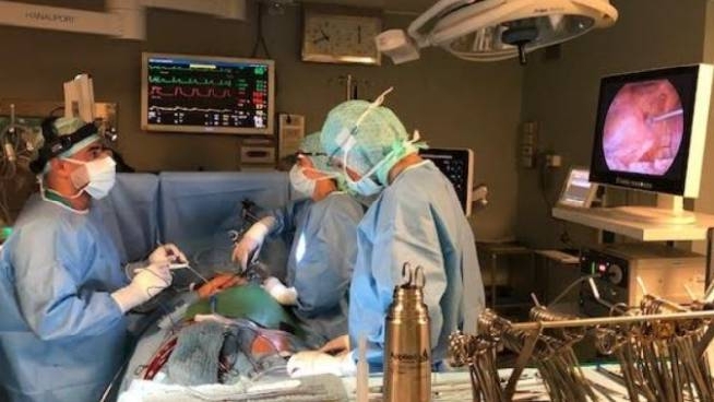 Il Mago Del Cuore Al Monzino Meno Dolore E Niente Piu Cicatrici Cronaca Ilgiorno It