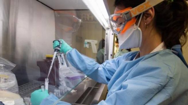 37+ Covid Oggi Toscana Prato