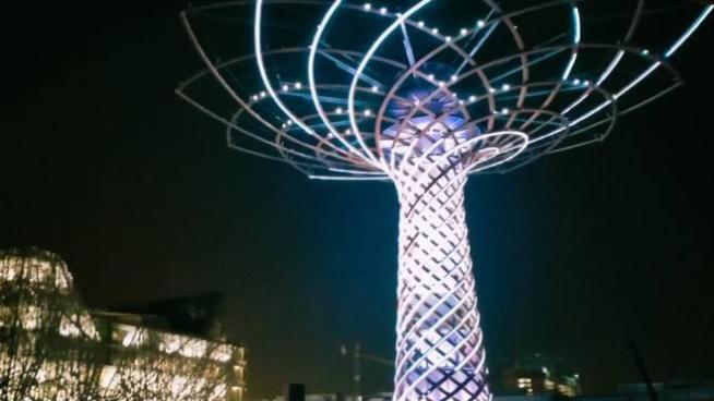 Covid L Albero Della Vita Si Illumina Di Bianco In Omaggio Al Personale Sanitario Cronaca