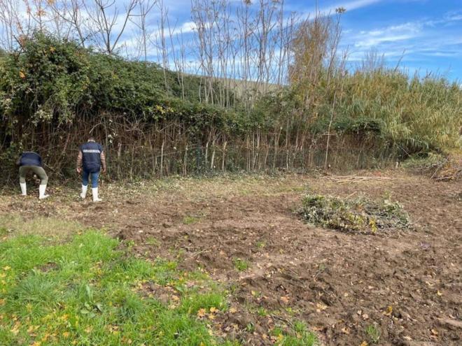Resti umani sul campo a Firenze, altro orrore: terza valigia, questa volta una donna vittima