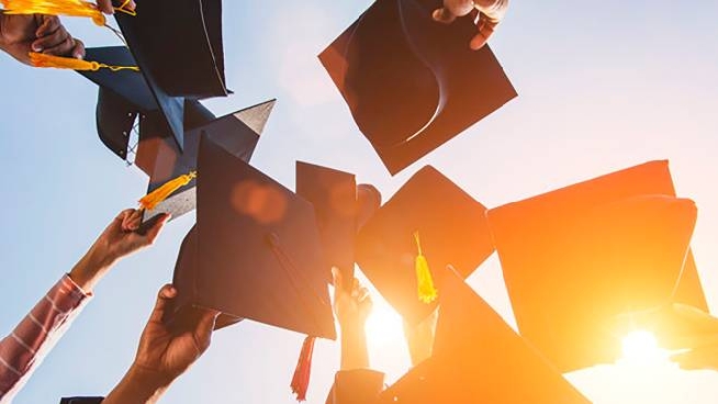 Unibo Corsi Ecco Cosa Studiare Le Novita Cronaca Ilrestodelcarlino It