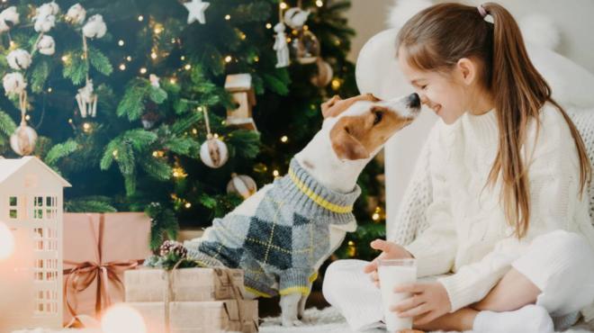 Buon Natale Frasi Famose E Immagini Per Auguri Originali E Divertenti Magazine Quotidiano Net