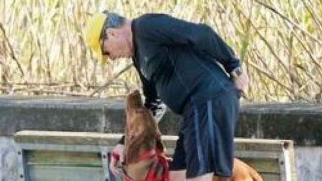 Dal bracco di Draghi al gatto di Downing Street: tutti i cuccioli dei presidenti - Cronaca