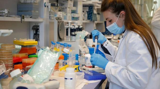 Vaccino Reithera Stop Della Corte Dei Conti Al Finanziamento Cronaca Quotidiano Net