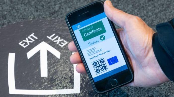 referendum green pass domani svizzera alle urne ecco cosa dicono i sondaggi cronaca