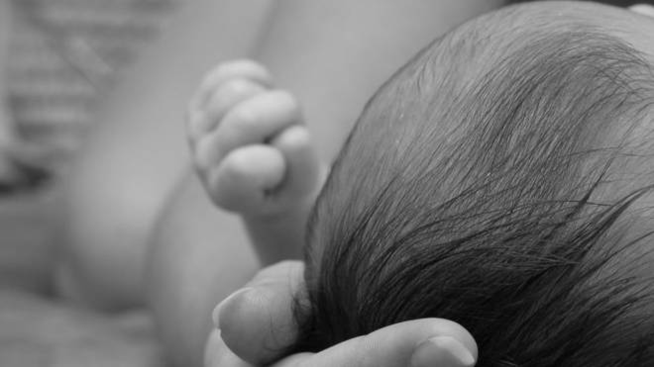 Bambino Morto A Pesaro A 6 Mesi Il Piccolo Tommaso Ucciso Da Un Rigurgito Cronaca Ilrestodelcarlino It