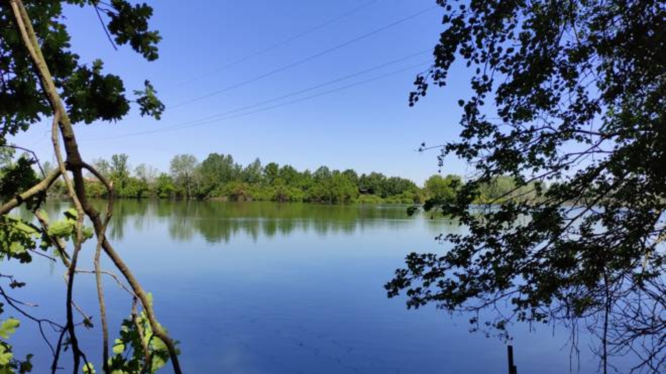 Fai Giardini Aperti 21 Verde Da Scoprire Il Programma In Emilia Romagna Cosa Fare Ilrestodelcarlino It Fai Giardini Aperti 21 Verde Da Scoprire Il Programma In Emilia Romagna Cosa Fare Ilrestodelcarlino It
