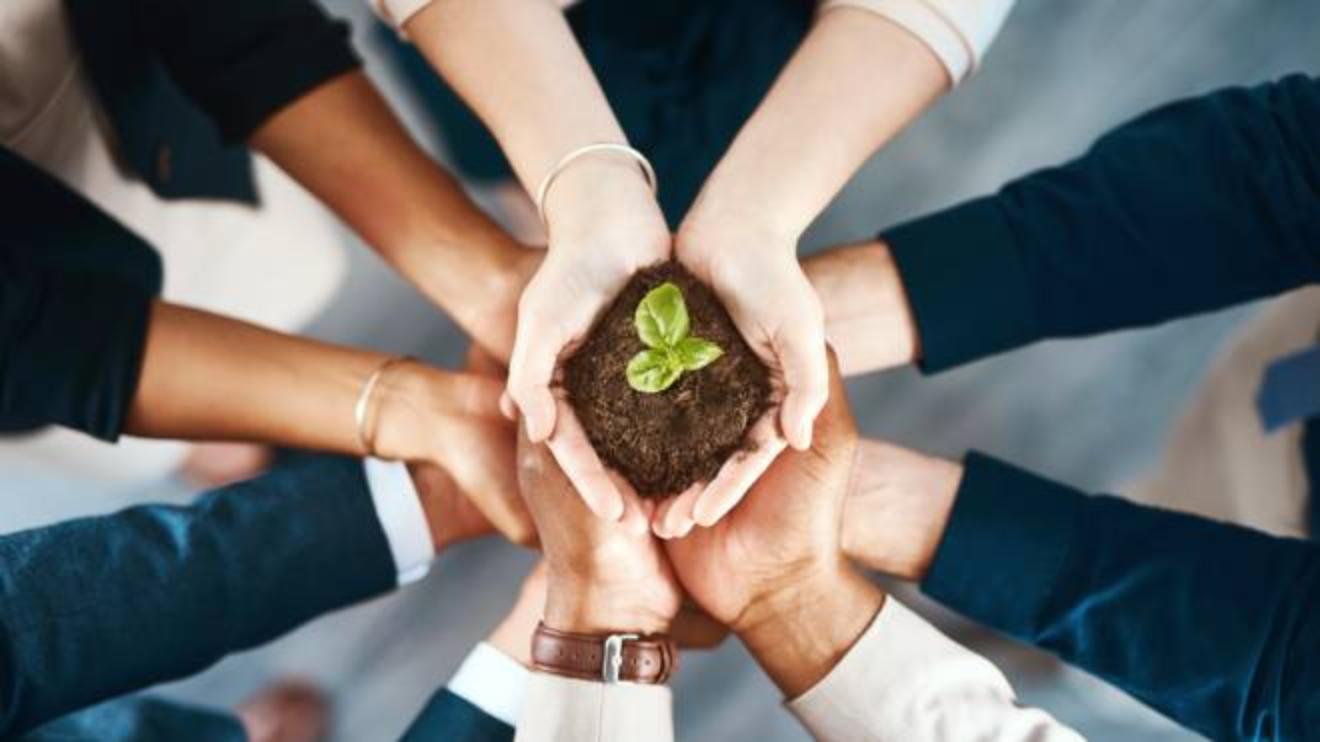 11 HOẠT ĐỘNG PHẢI LÀM TRONG NĂM GAP YEAR ĐỂ KHÁM PHÁ BẢN THÂN 2 Investire in sostenibilità è un affare: imprese green le uniche a crescere - Magazine - quotidiano.net