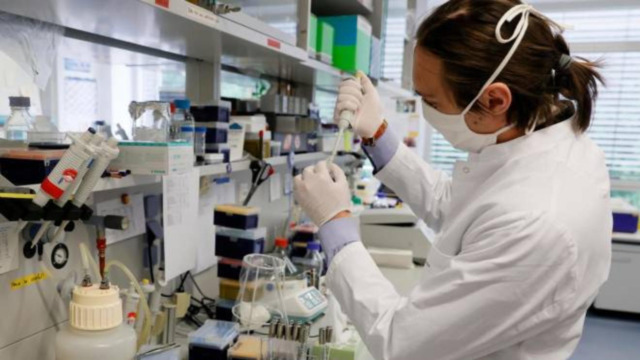 allarme oms per nuovo virus primo morto per marburg in guinea cronaca ilgiorno it