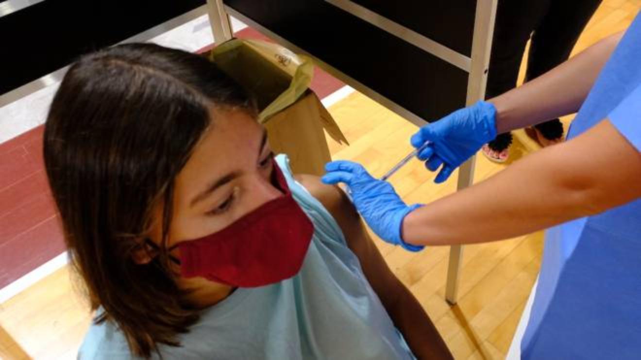 vaccinazioni covid insegnanti promossi gli studenti sono da bocciatura cronaca ilrestodelcarlino it