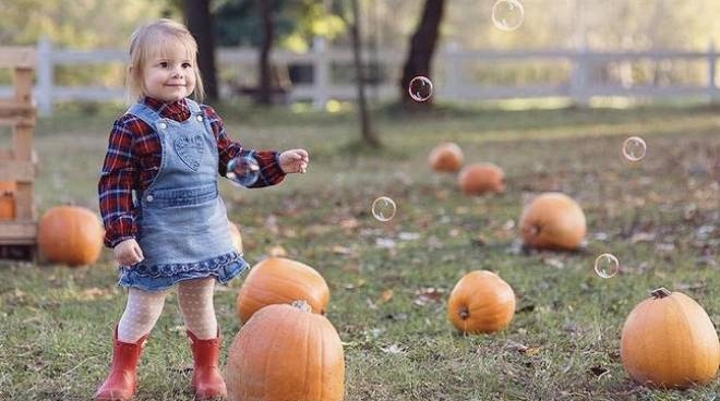 Villaggio delle zucche