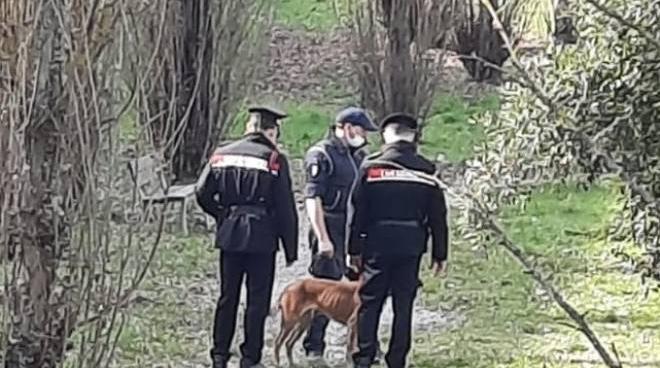 Un’unità cinofila dei carabinieri a caccia di esche avvelenate