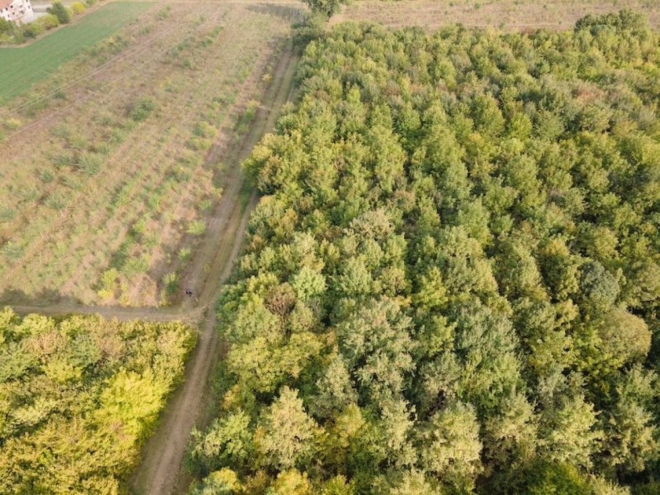 Giornate Fai D Autunno Luoghi Magici Da Visitare Itinerari Quotidiano Net Giornate Fai D Autunno Luoghi Magici Da Visitare Itinerari Quotidiano Net