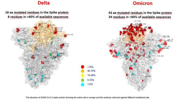 variante omicron in italia primo caso in veneto uomo rientrato dal sudafrica cronaca
