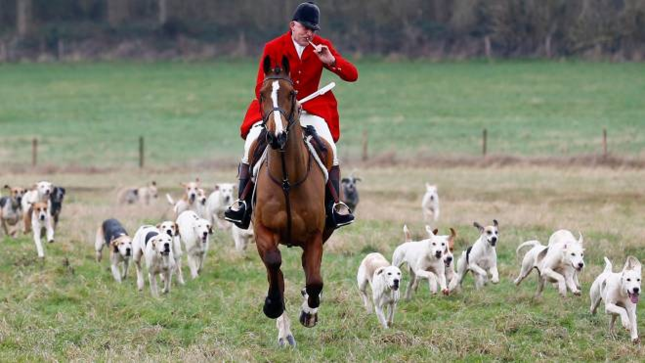 Gb Paul Mccartney Contro Cameron Per La Caccia Alla Volpe Animali Quotidiano Net