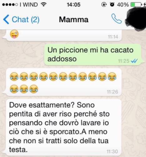 Mamme Che Scrivono Messaggi Su Whatsapp Curiosita Quotidiano Net
