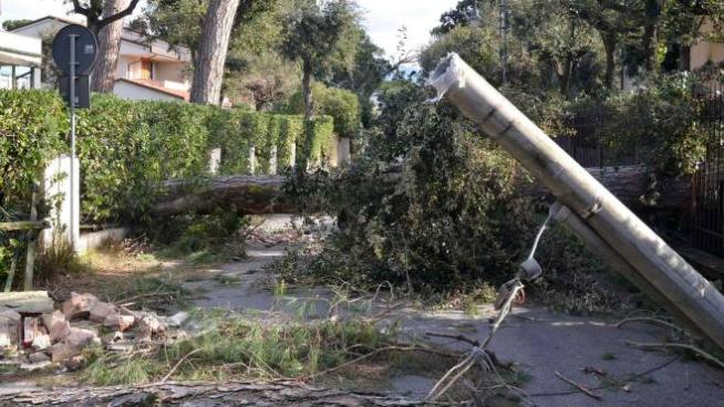 Tempesta Di Vento Niente Elettricita Per Piu Di 8 Ore Scattano