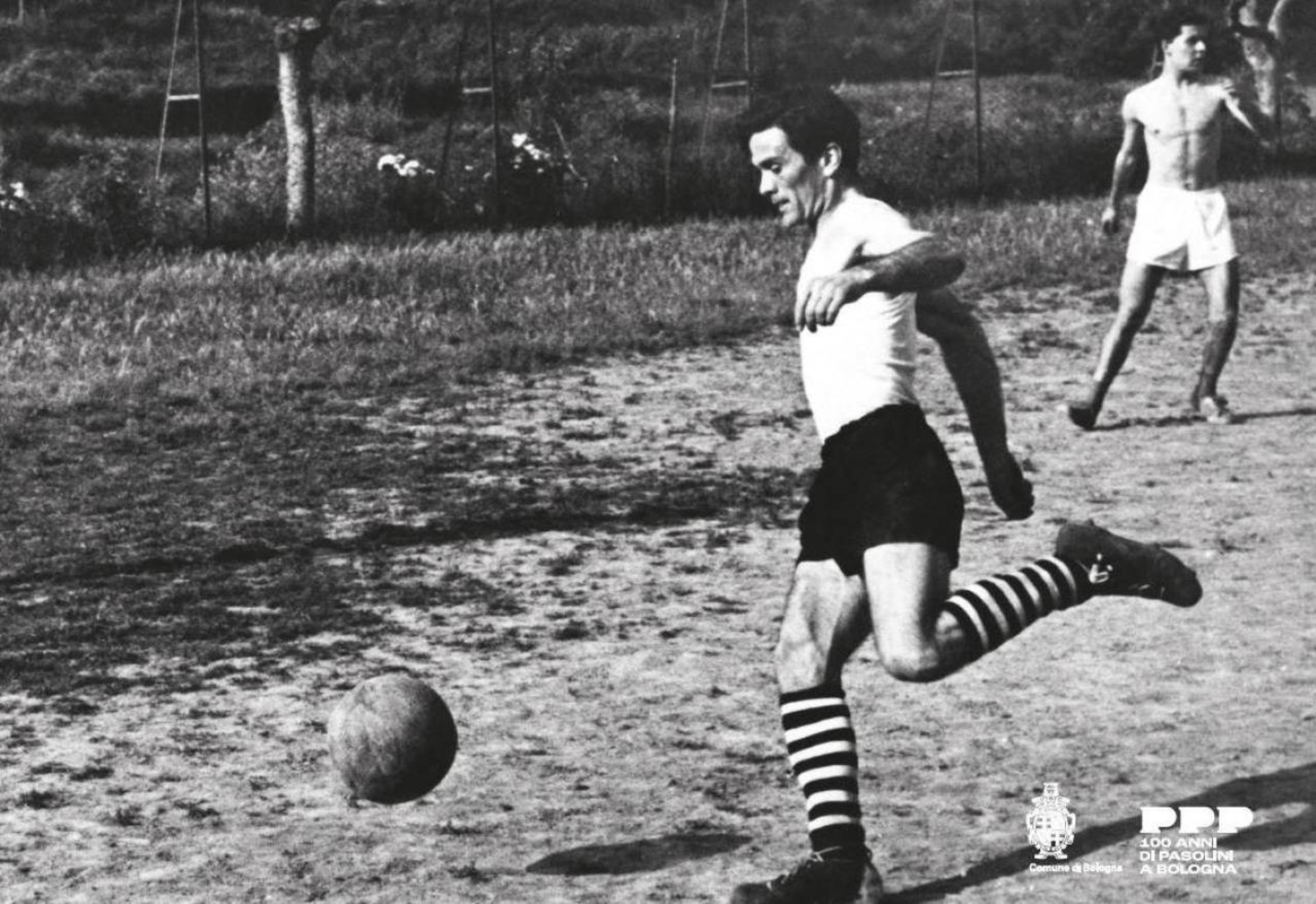 Bologna si sveglia con i volti di pierpaolo pasolini, lucio dalla, roberto roversi Pasolini, bologna come un cinema per i suoi 100 anni